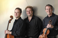 Vienna Piano Trio